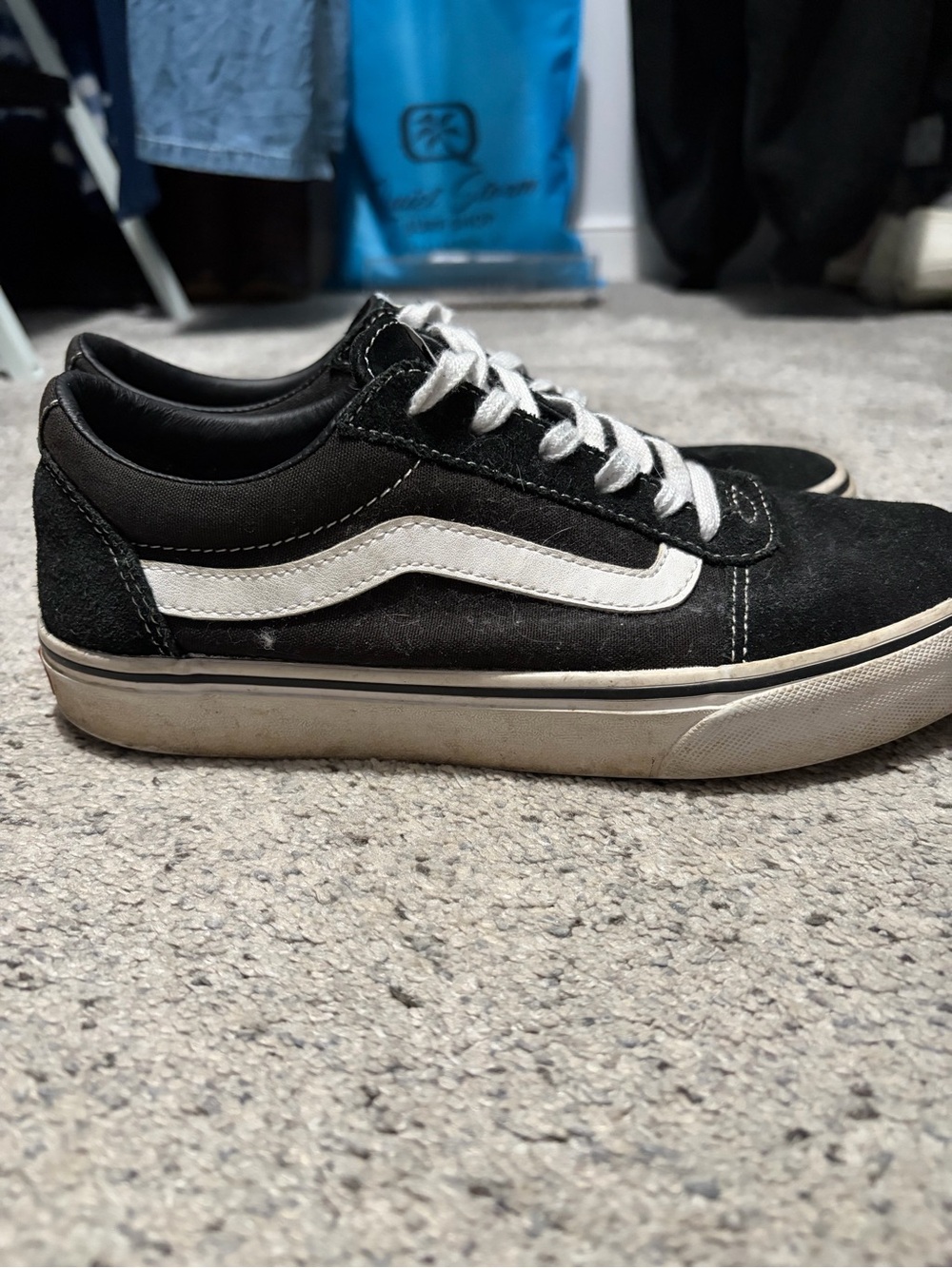 Vans Black and White Low-Top Skate Sneakers